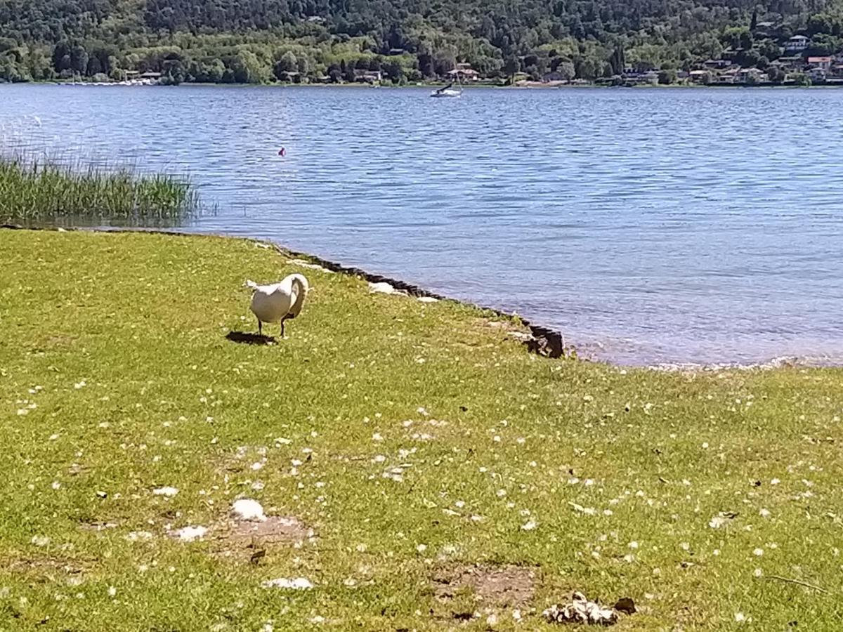 Ritratto Sul Lago ドルメッレット エクステリア 写真